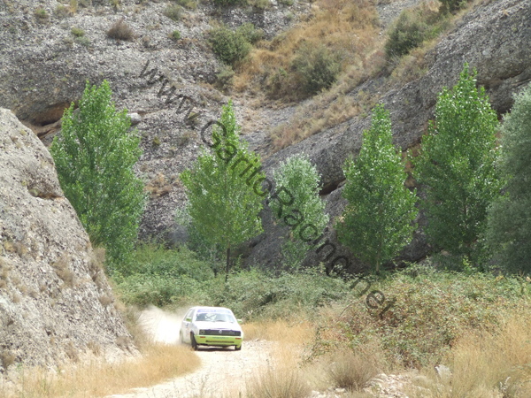 DSCF3227