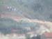 DSCF0914