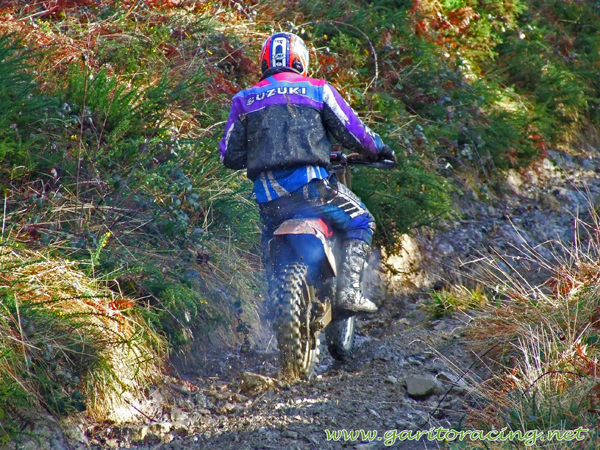 DSCF7674 copia
